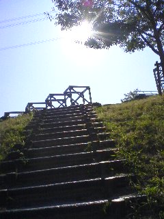 b0081348_21215326.jpg