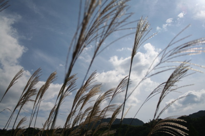 e0009049_23393487.jpg