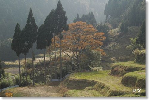 d0033551_22121165.jpg