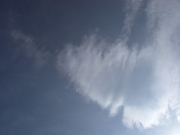 e0017051_9402661.jpg