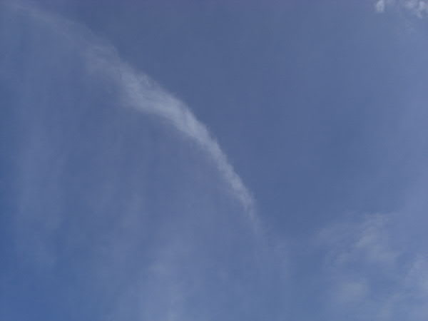 e0017051_9404343.jpg