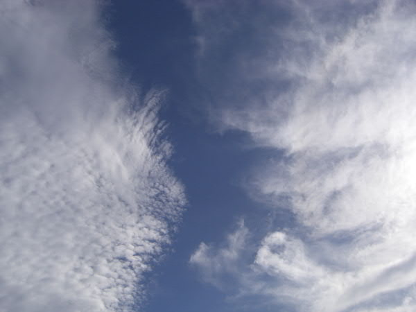 e0017051_9411132.jpg