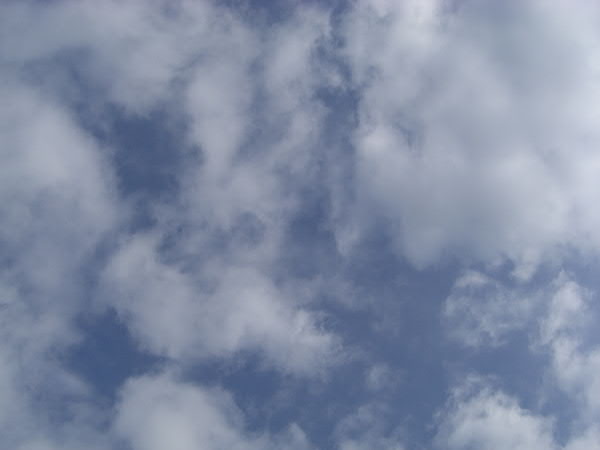 e0017051_9412396.jpg