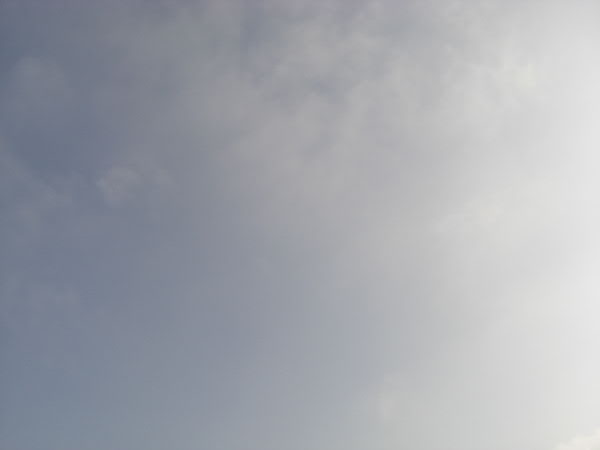 e0017051_9415243.jpg