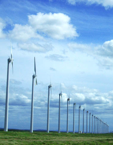 c0097856_901128.jpg