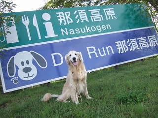c0097558_11291033.jpg