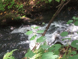 c0097558_11495764.jpg