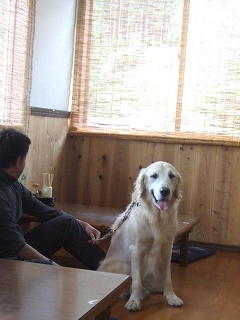 c0097558_1235230.jpg