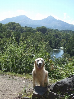 c0097558_1331576.jpg