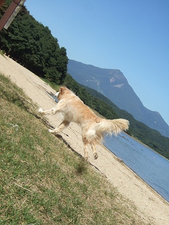 c0097558_1335272.jpg