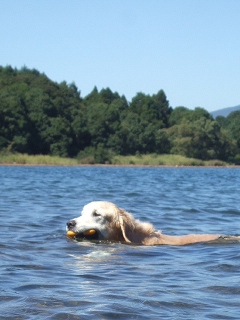 c0097558_13363899.jpg