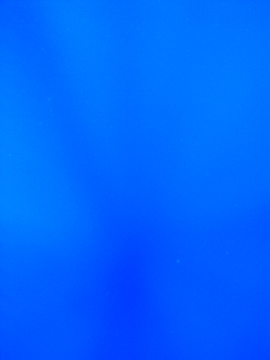 b0062363_19433660.jpg