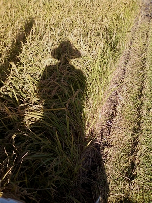 c0166668_2059628.jpg