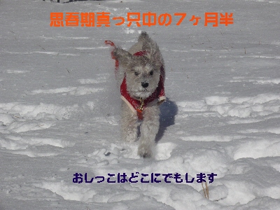 f0203369_2261159.jpg