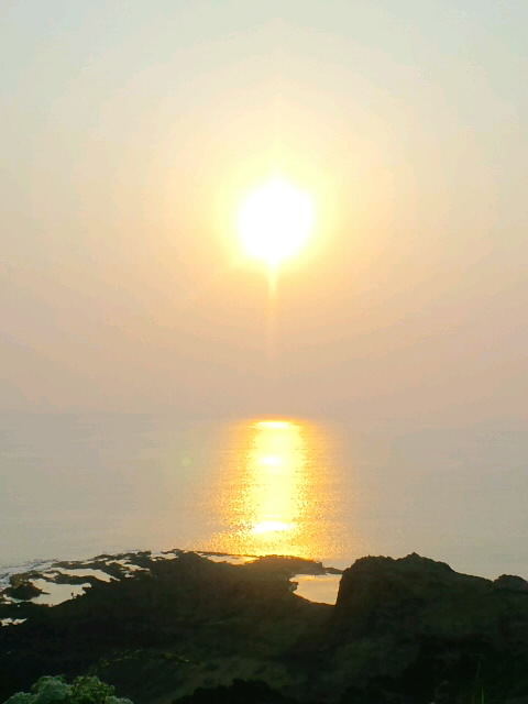 b0100973_1334513.jpg