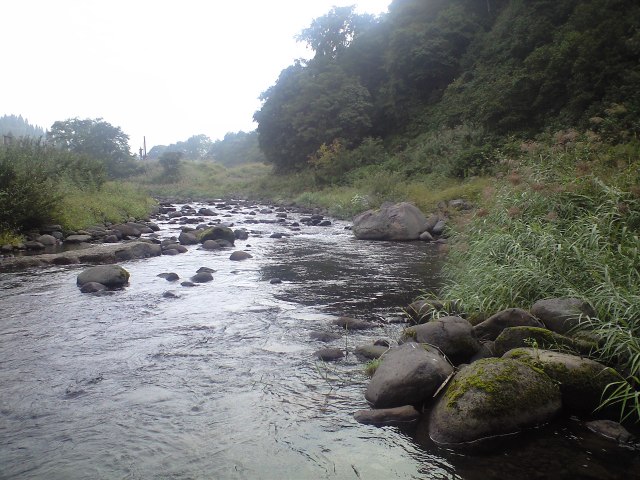 a0093677_1134573.jpg
