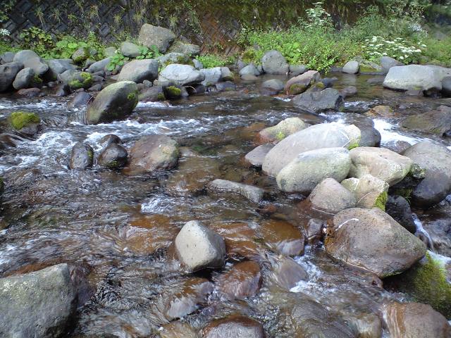 a0093677_1341711.jpg