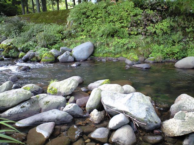 a0093677_139799.jpg