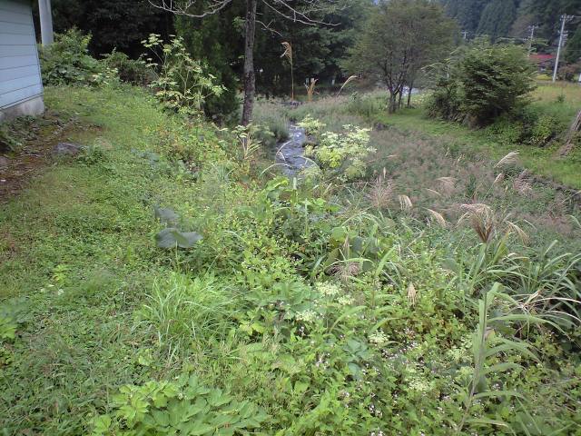 a0093677_1513169.jpg
