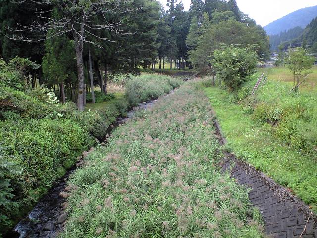 a0093677_1562185.jpg