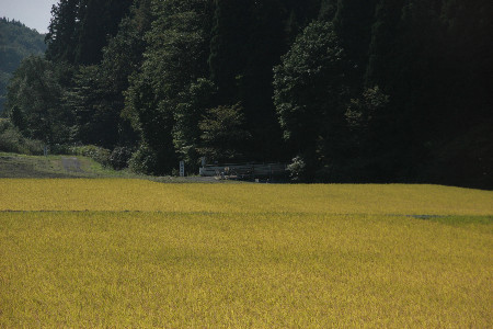 c0184178_14242317.jpg