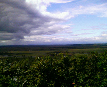 b0174079_13154210.jpg