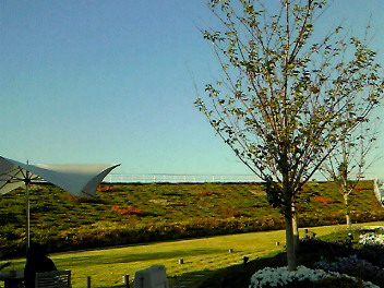 c0066080_1750477.jpg