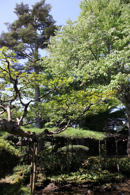c0148781_21535750.jpg