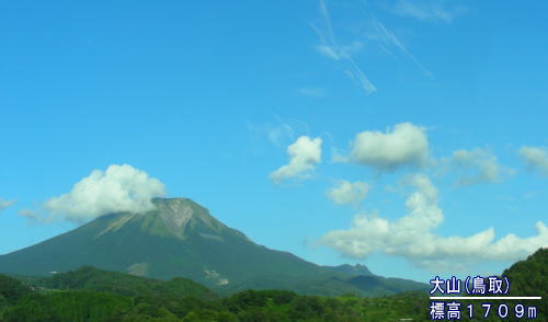 a0019082_11362577.jpg