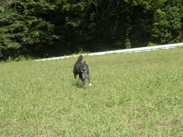 d0142182_18411450.jpg