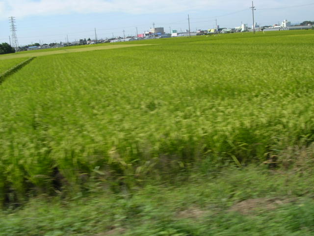 d0142182_1856302.jpg