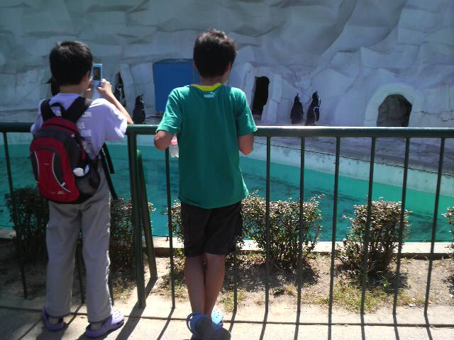 f0192582_21111634.jpg