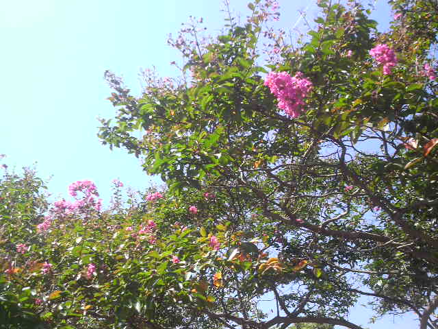 f0192582_21111648.jpg