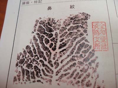 b0142688_7432443.jpg