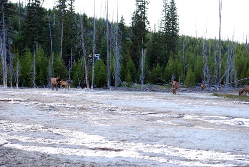 b0148991_1164554.jpg