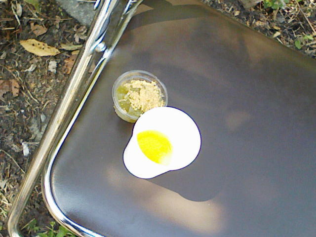 c0087392_23384417.jpg
