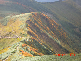 c0151898_173083.jpg
