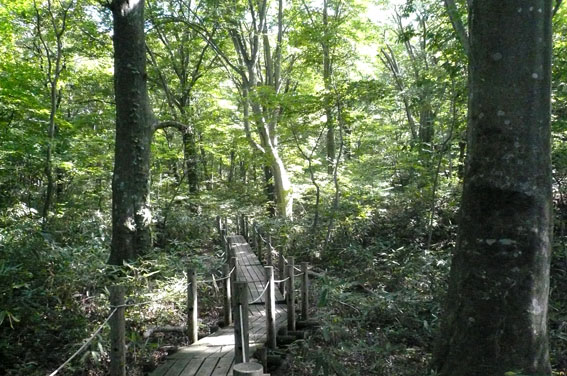 e0054299_1651851.jpg