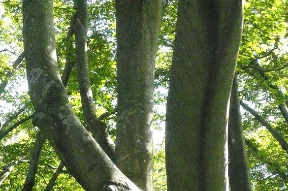 e0054299_1652481.jpg