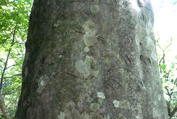 e0054299_16555237.jpg