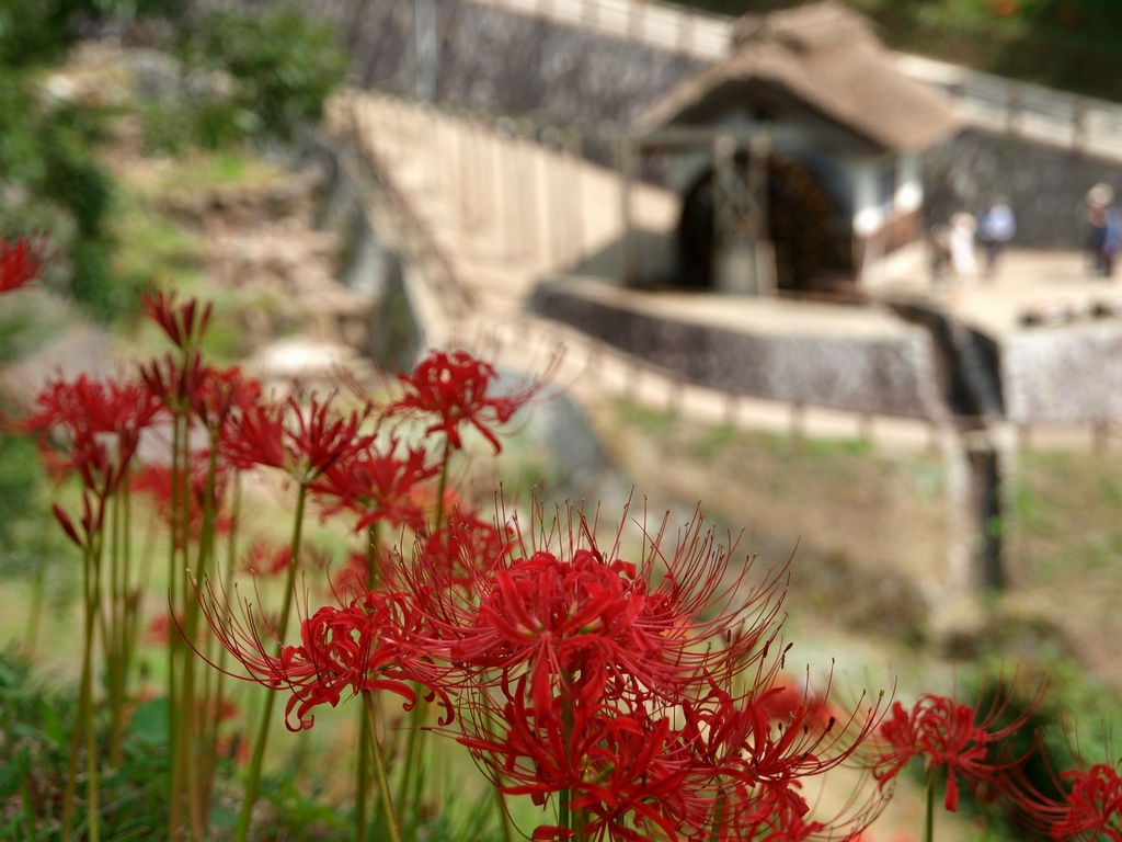 b0138101_218710.jpg