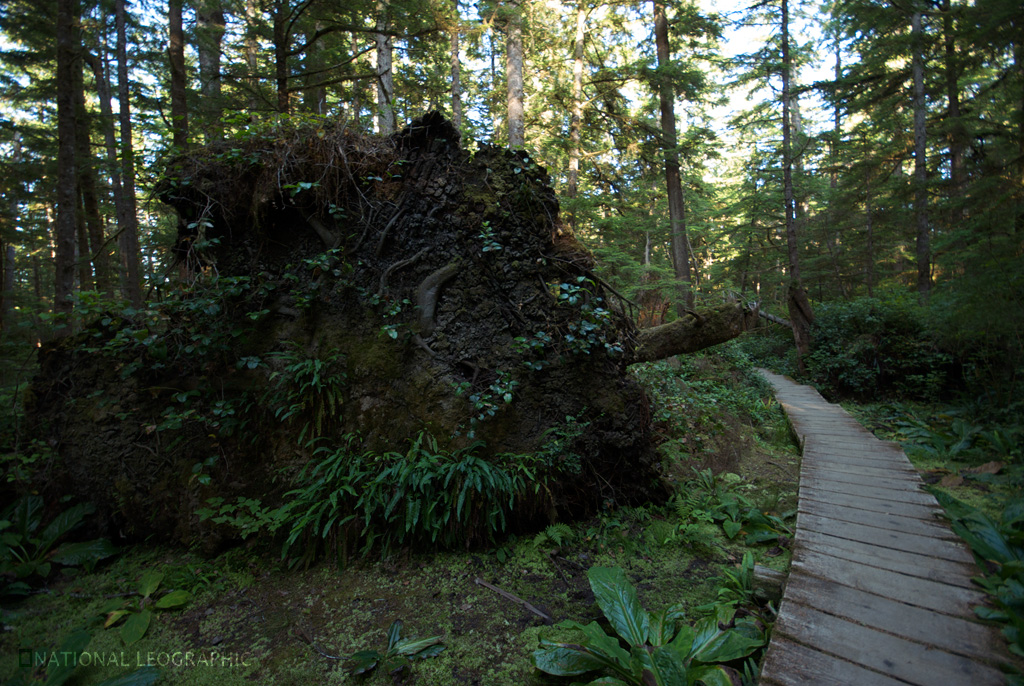 c0080101_1863590.jpg