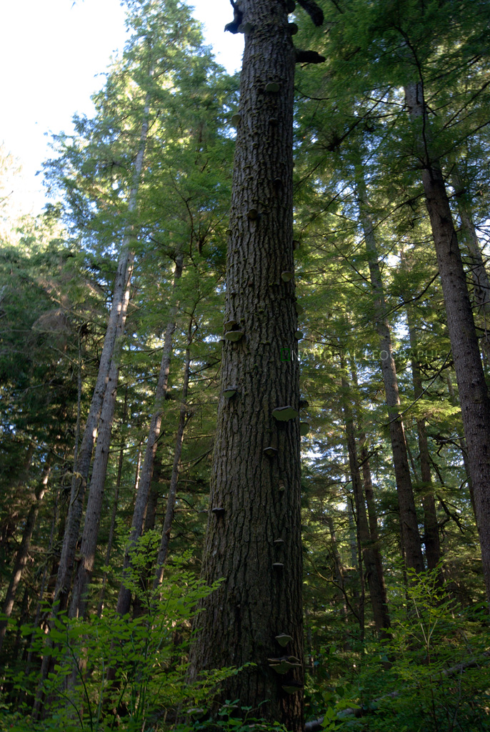 c0080101_188141.jpg
