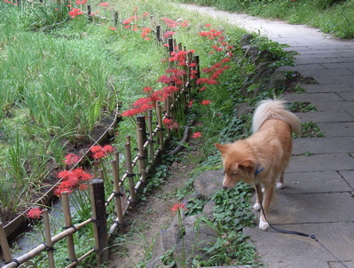 b0099903_2317129.jpg