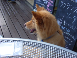 b0099903_2335967.jpg