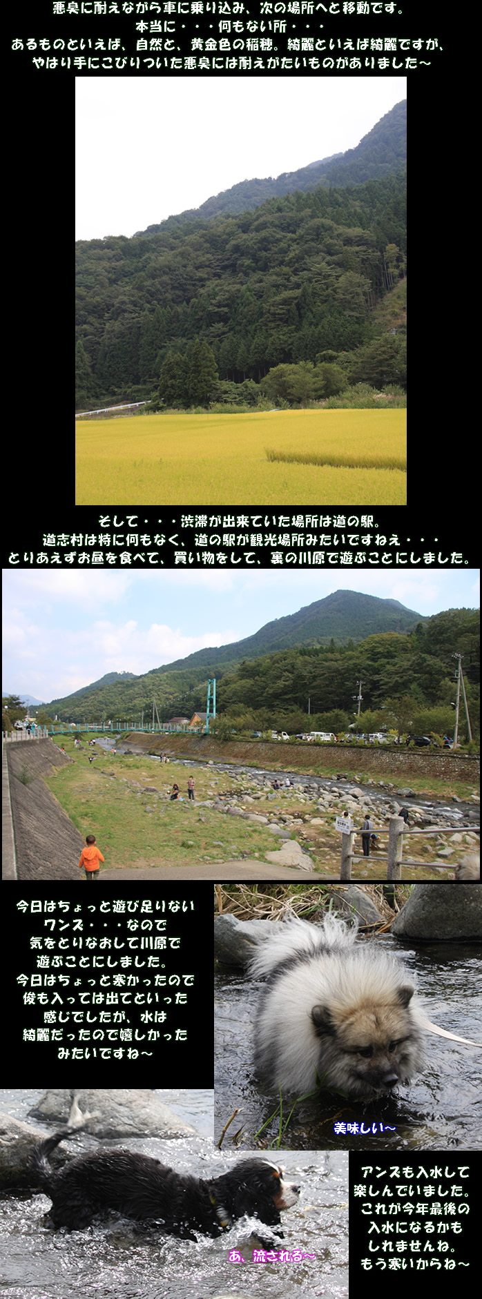 e0149903_2143492.jpg
