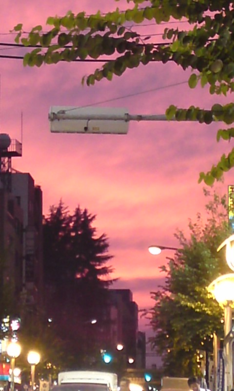 f0151905_1465876.jpg