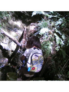 f0009509_1454687.jpg