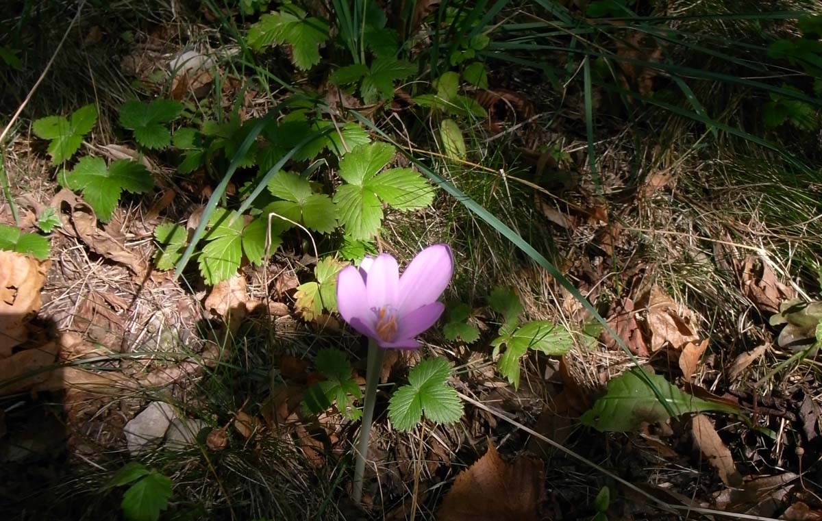 d0104210_1991782.jpg