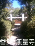 e0143915_5582595.jpg
